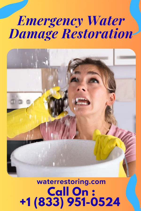 Emergency Water Damage Restoration in Hollowayville, IL