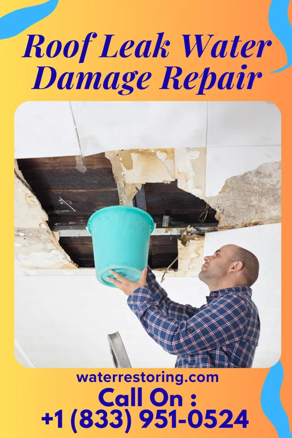 Roof Leak Water Damage Repair in Hollowayville, IL