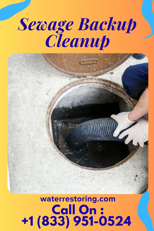 Sewage Backup Cleanup in Hollowayville, IL